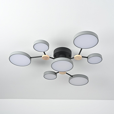 Потолочная Люстра Gamma D88 Grey Imperiumloft 223765-23 - фото