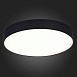 Светильник потолочный Черный LED 1*48W 4000K 4 320Lm Ra>85 120° IP20 D400xH55 185-265V ST606.442.48 - фото