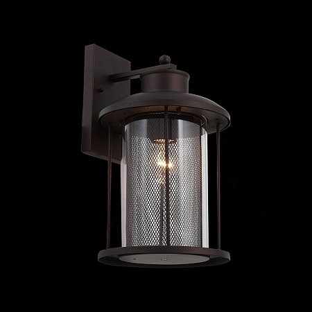 Светильник уличный настенный ST-Luce Темный кофе/Прозрачный, Темный кофе E27 1*60W SL080.401.01 - фото