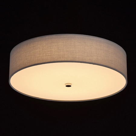 Светильник  дафна MW-Light  453011401 - фото