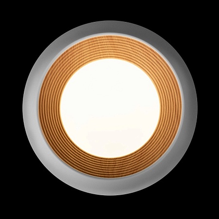 10255/350 White Потолочный светильник LOFT IT Folk - фото