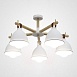 Потолочная Люстра Flan 5 Imperiumloft 178009-26 - фото