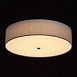 Светильник  дафна MW-Light  453011401 - фото