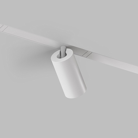 Светильник на шине Denkirs SMART SPOT DK8010-WH - фото