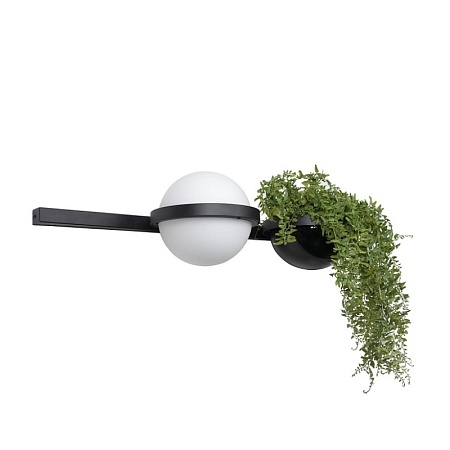 10121W/A Настенный светильник LOFT IT Jardin - фото