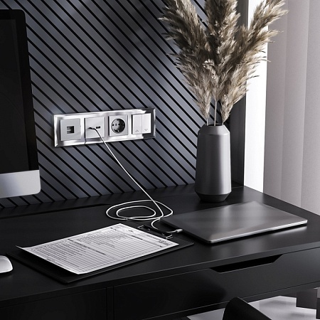 Розетка с заземлением, безвинтовой зажим серебряный WL06-10-01 - фото