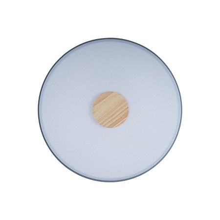 10003/24 Grey Потолочный светильник LOFT IT Axel - фото