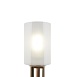 Настенный светильник (бра) Freya Felicity FR5206WL-01FG - фото