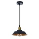 Подвесной светильник Arte Lamp CAPPELLO A7038SP-1BK - фото