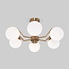 Потолочный светильник Eurosvet 70154/6 латунь - фото
