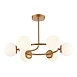 Светильник потолочный Золотистый/Белый E14 6*40W SLE220602-06 - фото