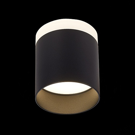 Светильник потолочный Черный LED 1*12W 4000K 936Lm Ra>80 120° IP20 D100xH90 170-240V ST102.442.12 - фото