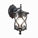 Светильник уличный настенный ST-Luce Черный/Черный, Прозрачный E27 1*60W SL085.411.01 - фото