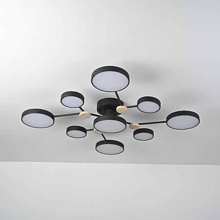 Потолочная Люстра Gamma D98 Black Imperiumloft 223769-23 - фото