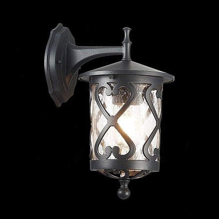 Светильник уличный настенный ST-Luce Черный/Черный, Прозрачный E27 1*60W SL085.411.01 - фото