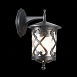 Светильник уличный настенный ST-Luce Черный/Черный, Прозрачный E27 1*60W SL085.411.01 - фото