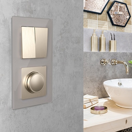 Диммер шампань рифленый WL10-DM600 - фото