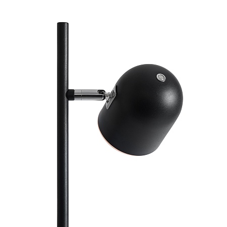 Напольный светильник (торшер) Freya FR5279FL-L7B - фото