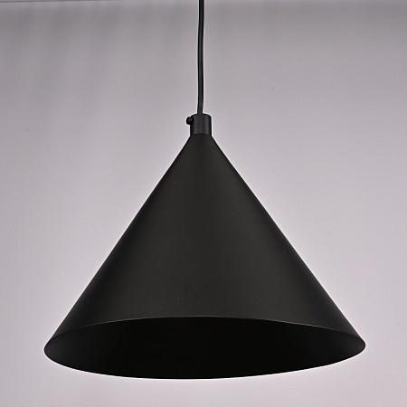 Подвесной Светильник Roundew D29 Black Imperiumloft 302464-26 - фото