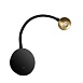 10254 Brass Настенный светильник LOFT IT Point - фото