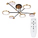 Потолочная люстра Arte Lamp HOLLY A1364PL-6PB - фото