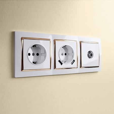 Розетка с заземлением, шторками и USBх2 белая WL01-SKGS-USBx2-IP20 - фото