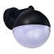 Светильник уличный настенный ST-Luce Черный/Белый E27 1*40W SL9000.401.01 - фото