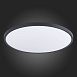 Светильник потолочный Черный LED 1*48W 4000K 4 320Lm Ra>90 120° IP20 D600xH27 185-265V ST601.442.48 - фото