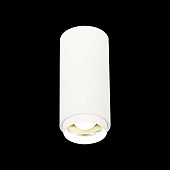 Светильник потолочный Zoom Белый LED 1*10W 4000K 1 000Lm Ra&gt;80 15-60° IP20 D59xH130 170 ST600.542.10