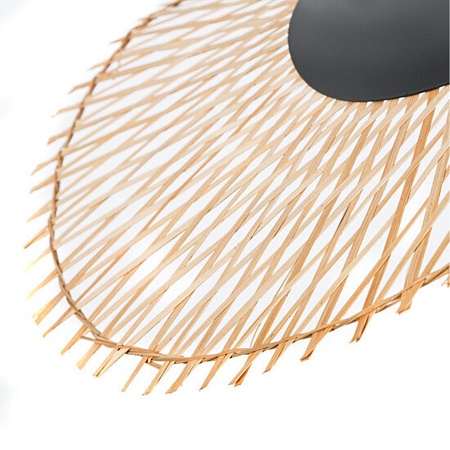 Подвесной светильник Arte Lamp WOODSTOCK A7063SP-1BK - фото