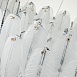 Подвесная люстра Favourite 3018-10P - фото