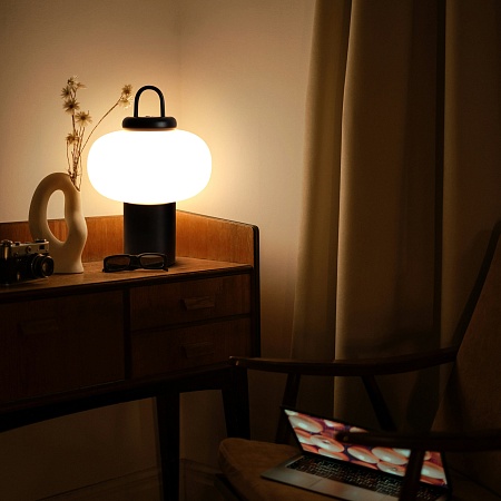 Настольный светильник Freya Take FR6175TL-L10B - фото