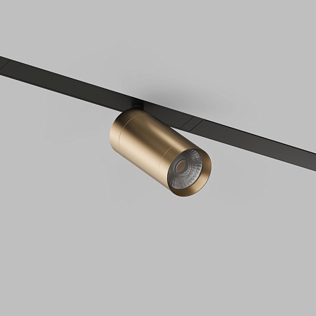 Светильник на шине Denkirs SMART SPOT DK8010-BG - фото