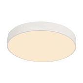 Потолочный светильник F-Promo 4685-8C