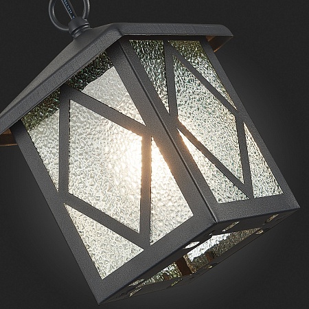 Светильник уличный подвесной ST-Luce Черный/Черный, Прозрачный E27 1*60W SL084.403.01 - фото