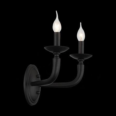 Бра ST-Luce Черный E14 2*40W SL1114.401.02 - фото