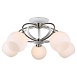 Люстра Lussole FAYETTEVILLE GRLSP-0166 - фото