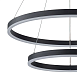 Подвесная люстра ARTE LAMP A2548SP-75BK - фото