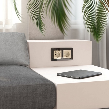 W1171043/ Розетка с заземлением (айвори акрил) W1171043 - фото
