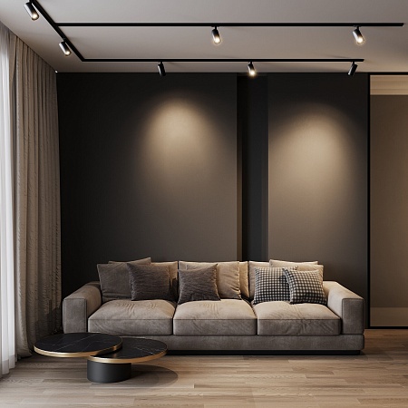 Basic System Comel Трековый поворотный светильник 10W 4200K черный 85210/01 Elektrostandard - фото