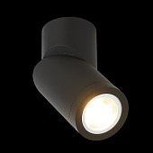 Светильник потолочный Черный GU10 1*50W IP20 D62xH151 180-240V Без ламп ST650.402.01
