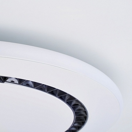 Потолочный светильник F-Promo 4433-1C - фото