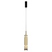 Подвесной светильник Maytoni Ordo MOD272PL-L12BS3K1 - фото