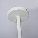 Потолочная Люстра На Штанге Natura A White 3 Imperiumloft 101826-26 - фото