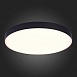 Светильник потолочный Черный LED 1*96W 3000K 8 640Lm Ra>85 120° IP20 D600xH55 185-265V ST606.432.96 - фото