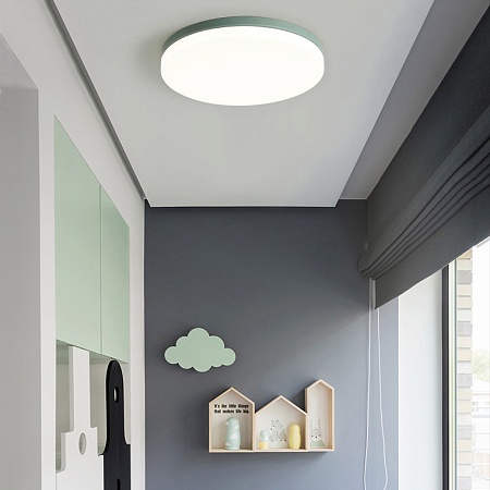 Потолочный Светильник Disc Half D38 Pink Imperiumloft 193126-26 - фото