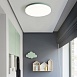 Потолочный Светильник Disc Half D38 Pink Imperiumloft 193126-26 - фото