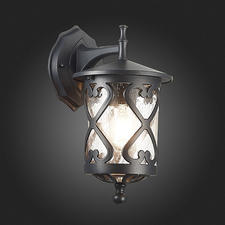 Светильник уличный настенный ST-Luce Черный/Черный, Прозрачный E27 1*60W SL085.411.01 - фото