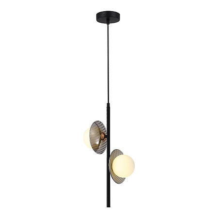 Светильник подвесной ST-Luce Черный/Дымчатый, Белый G9 2*5W 4000K SL1521.403.02 - фото