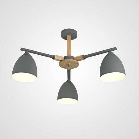 Потолочная Люстра Noa 3 Gray Imperiumloft Imperiumloft 101838-26 - фото